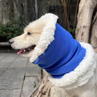 Produktbild von INF Winter Warme Hunde Ohrenschützer Doppellagig für Frostschutz Mehrere Größen Blau S