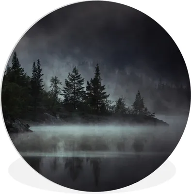 Produktbild von MuchoWow® Rundes Wandbild - Runde Bilder Wald - Nebel - Schwarz - Weiß Ø 60 cm Kreis Wanddekoration Kunststoff - Wandkreis - Wandschmuck - Wand Kreis - Das Schlafzimmer - Die Bilder - Wandmalerei - Kunst für das Haus - das Plastik