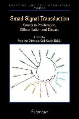 Produktbild von Smad Signal Transduction