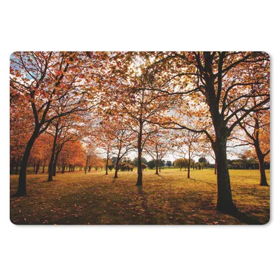Produktbild von MuchoWow® Schreibtischunterlage Herbst - Herbstblätter - Natur 60x40 cm - XXL Mauspad - Großes Mauspad