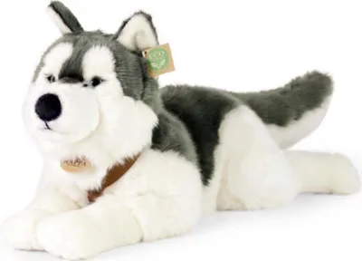 Zdjęcie produktu dla RAPPA Pluszowy pies husky z uprzężą leżący 60 cm ECO-FRIENDLY