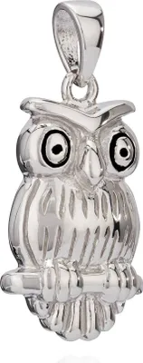 Produktbild von Kettenanhänger Eule 925 Silber anlaufgeschützt 17x11mm Glücksamulett Talisman