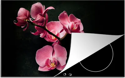 Produktbild von KitchenYeah© Herdabdeckplatte Pflanzen - Orchidee - Blumen - Rosa , 89x51cm, Küche Deko, Glaskeramikkochfeld Herdabdeckung, Abdeckplatte fùr Kochfeld