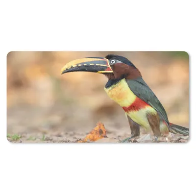 Produktbild von MuchoWow® Mauspad Mousepad Vogel - Tukan - Federn - Natur 60x30 cm - Mousepads - Maus Mat - Pad - Mausunterlage - Nachhaltig