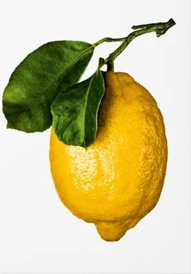 Zdjęcie produktu dla The Gourmand's Lemon