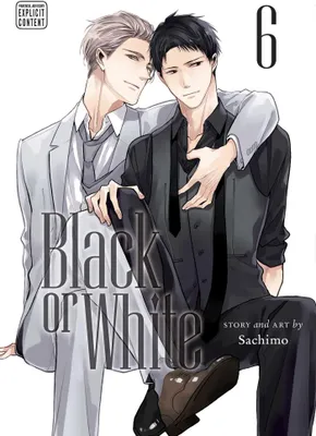 Produktbild von Black or White, Vol. 6