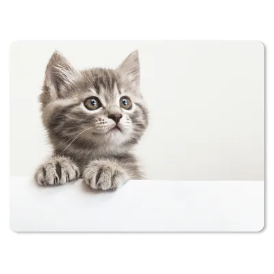 Produktbild von MuchoWow® Mauspad Mousepad Katze - Grau - Tiere 23x19 cm - Mousepads - Maus Mat - Pad - Mausunterlage - Schreibtischunterlage - Mauspad