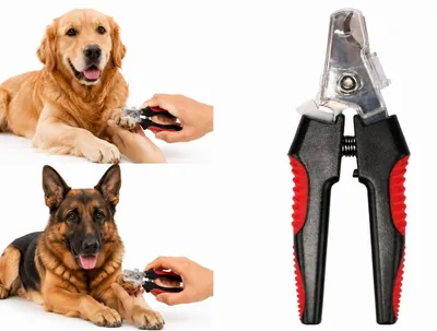 Produktbild von Flamingo krallenschere für Hunde - Professioneller Krallenschneider Knippie Groß