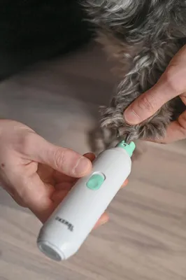 Produktbild von KERBL Krallenschleifer – 15,5 x 3,5 x 2,5 cm – Weiß – Für Hunde, Katzen und Kleintiere