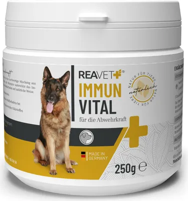 Produktbild von REAVET Immun Vital für Hunde 250g - für mehr Wohlbefinden & Vitalität I Natürliche Abwehrkraft, Stärkung des Immunsystem, Ohne künstliche Zusätze, Reich an Mineralien