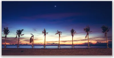 Produktbild von Tulup Leinwand-Bilder 120x60 Wandbild Canvas Kunstdruck Palmen Strand Meer Landschaft