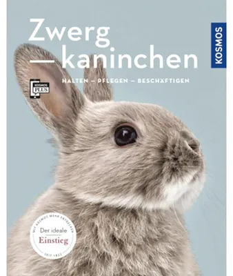 Produktbild von Zwergkaninchen