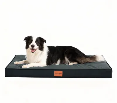 Hundebett orthopädisch 91x69x7,6 cm Eierkorb-Schaum grau