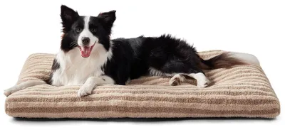 Image de Panier pour chien, dimensions 75x55x9 cm, en peluche, lavable, antidérapant, pour chiens de taille moyenne