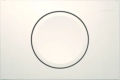 A white toilet flush plate with a single large circular button.