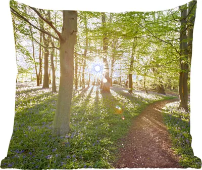 Produktbild von MuchoWow® Zierkissen Sofakissen Wohnzimmer Dekokissen 50x50 cm Wald - Baum - Sonne - Komfort - Sofakissen
