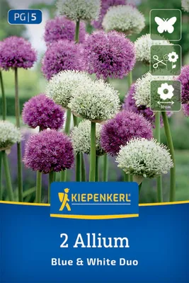Produktbild von Kiepenkerl Zierlauch Mix Blue & White Allium sp. 2 Zwiebeln