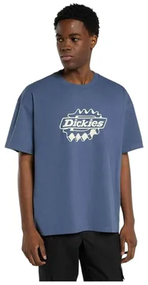 Produktbild von T-Shirt Dickies Irondale für Herren
