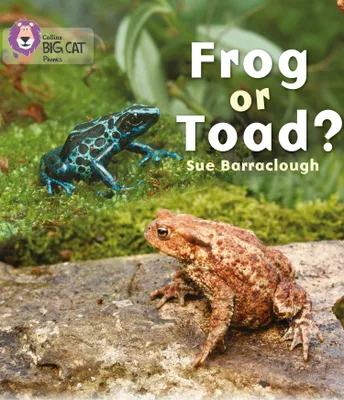 Produktbild von Frog or Toad?