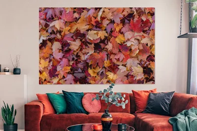 Produktbild von OneMillionCanvasses® - Leinwandbilder - 150x100 cm, Herbstblätter, Wandbilder Kunstdruck Wanddekoration