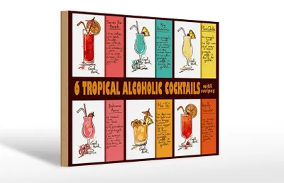 Produktbild von Holzschild Alkohol 30x20cm 6 tropical cocktails recipes