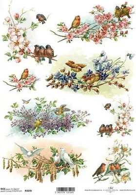Zdjęcie produktu dla Papier ryżowy do decoupage A4 ITD-R1070 ptaszki na gałązkach