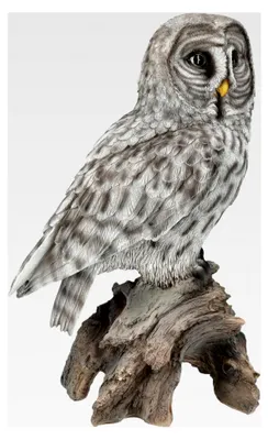 Produktbild von Realistische Eulen Gartenfigur - Bartkauz 36 cm, Wetterfeste Statue
