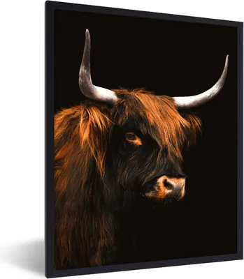 Produktbild von MuchoWow® Gerahmtes Poster Schottischer Highlander - Kuh - Schwarz 60x80 cm - Poster mit Schwarzem Bilderrahmen Wandposter Rahmen Foto Bilder - Premium - Wanddeko Wohnzimmer