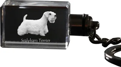 Productafbeelding van Art-Dog Sleutelhanger – Sealyham Terrier