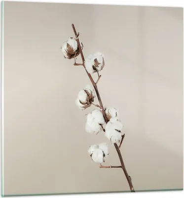 Produktbild von Bilder auf glas - Einteilig - Baumwolle Zweig Boho - 70x70cm - Glasbilder - Wandbilder - Bilder - zum Aufhängen bereit - Wanddekoration aus Glas - Glas Bilder - Wandbild auf Glas - GAC70x70-4730