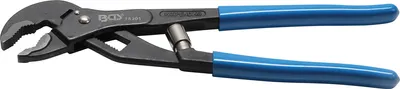 Immagine prodotto di BGS Pinze per pompe dell'acqua autoregolanti 250 mm - 75201