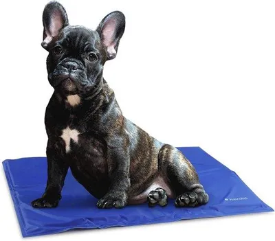 Produktbild von Kühlmatte für Hunde und Katzen, Selbstkühlkissen, Körperkühlung, Komfort