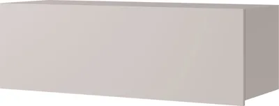 A single, light gray cabinet is shown against a white background.