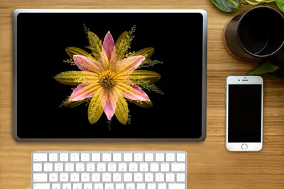 Produktbild von MuchoWow® Laptop Aufkleber Sticker Cover Eine gelbe Blume auf schwarzem Hintergrund 36.5x27.5 cm - Laptop-Sticker