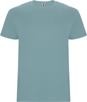 Image de Roly - T-shirt "Stafford" pour homme PF4347 (XXL) (Bleu)