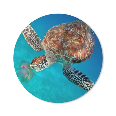 Produktbild von MuchoWow® Mauspad Mousepad Grüne Schildkröte mit Qualle 50x50 cm - Mousepads - Maus Mat - Pad - Mausunterlage - Vinyl