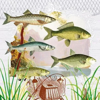 Produktbild von 20 Servietten Fish Portrait - Fische im Portrait 33x33cm