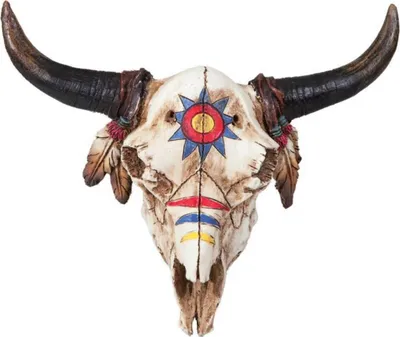 Produktbild von Bisonschädel mit Kriegsbemalung zum aufhängen 19,2cm