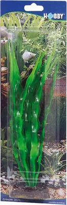 Produktbild von Hobby Crinum, Künstliche Aquarienpflanze, 29 cm