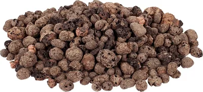 A pile of small, porous, irregularly shaped granules.