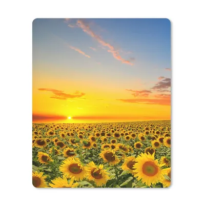 Produktbild von MuchoWow® Mauspad Mousepad Blumen - Sonnenblume - Sonnenuntergang - Nacht - Orange 30x40 cm - Mousepads - Maus Mat - Pad - Mausunterlage - Mausmatten