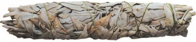Produktbild von Räucherstick Weisser Salbei "Smudge" 20cm