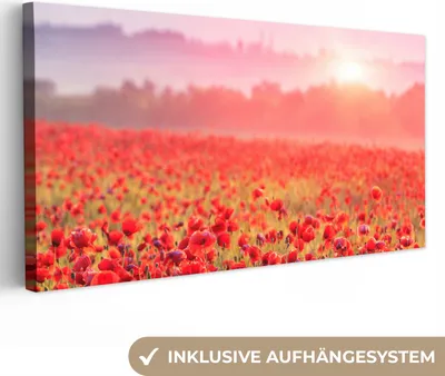 Produktbild von MuchoWow® - Leinwandbilder - Blumen - Mohn - Rot - Blumenfeld, Wandbild, Wanddeko Bilder Wohnzimmer, 40x20 cm