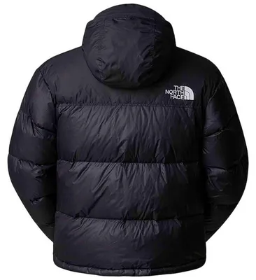 Image de Manteau The North Face NF0A3C8D4G31 pour Homme