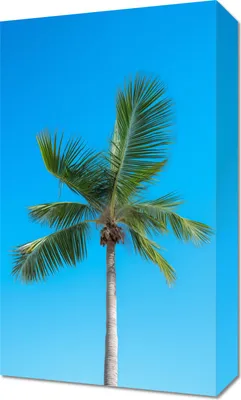 Produktbild von Bild 30x50cm Himmelshochländer