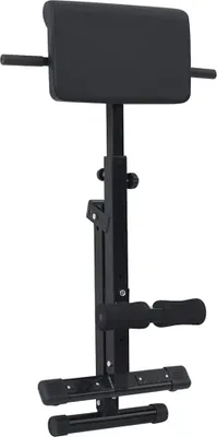 Produktbild von vidaXL Hyperextensionsbank Schwarz 100,5 x 70 x 78 cm