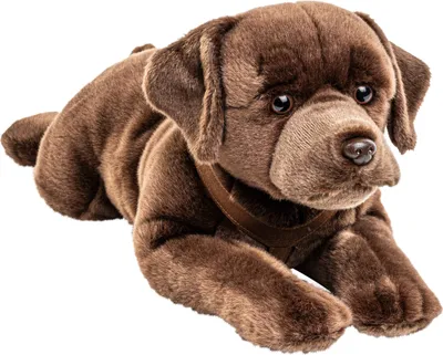 Produktbild von Uni-Toys - Labrador braun, liegend - 60 cm (Länge) - Plüsch-Hund - Plüschtier, Kuscheltier