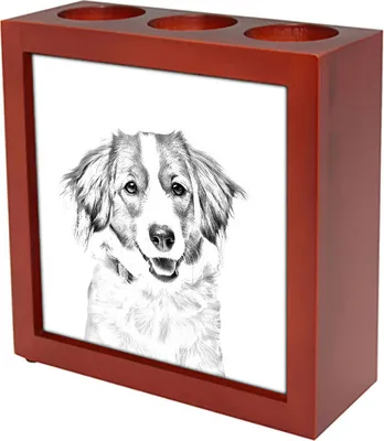 Obrázok produktu pre Art-Dog Stojan na pero – Kooikerhondje