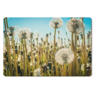 Produktbild von MuchoWow® Schreibtischunterlage Blumen - Löwenzahn - Gras 60x40 cm - XXL Mauspad - Großes Mauspad
