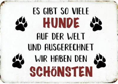 Produktbild von Kulthänger Blechschild schönster Hund, KH 113